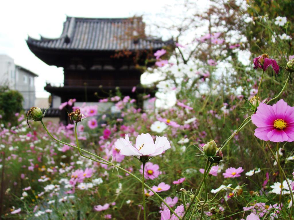 Yamabe Tenri Exterior foto