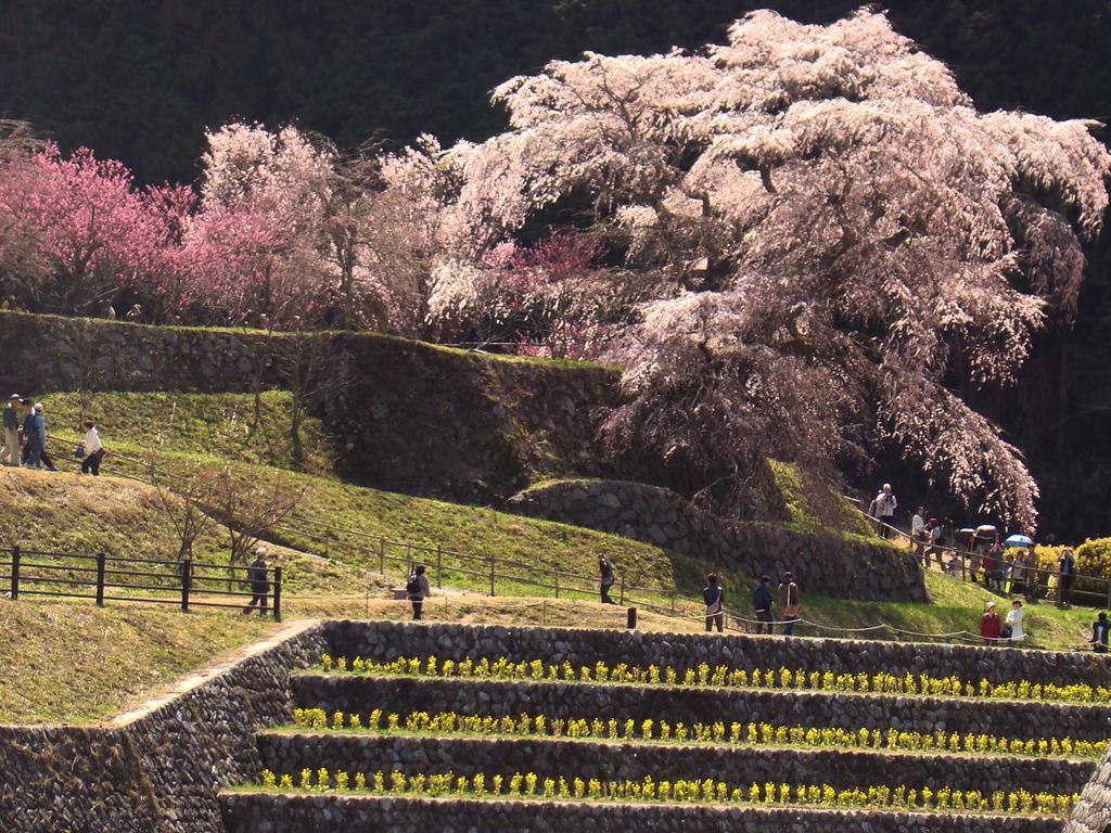 Yamabe Tenri Exterior foto